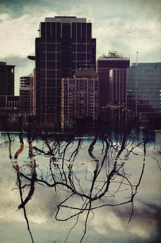 Illustration for article titled Shooting Challenge: Double Exposure, Gallery 2